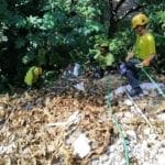 1 Localizan cadáver de un hombre envuelto en una bolsa en Apopa.