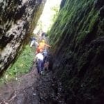 731D47C1-DEF6-48DC-AAFF-7F04A6902CAA