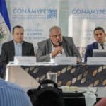 Comisión Nacional de la Micro y Pequeña Empresa 3