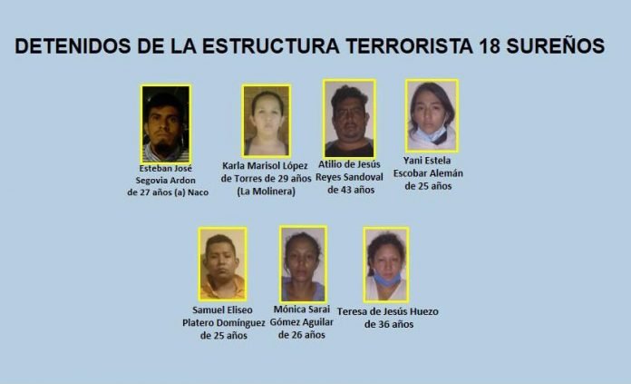 WhatsApp Image 2020-08-19 at 08.45.37 (3)