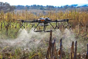 Los drones para uso agrícola son una de las tecnologías que el Ministerio de Agricultura utiliza para combatir la posible aparición de plagas de langostas voladoras y otros insectos que podrían afectar los cultivos.