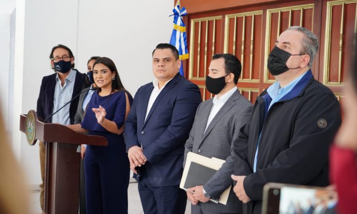 comision especial ong