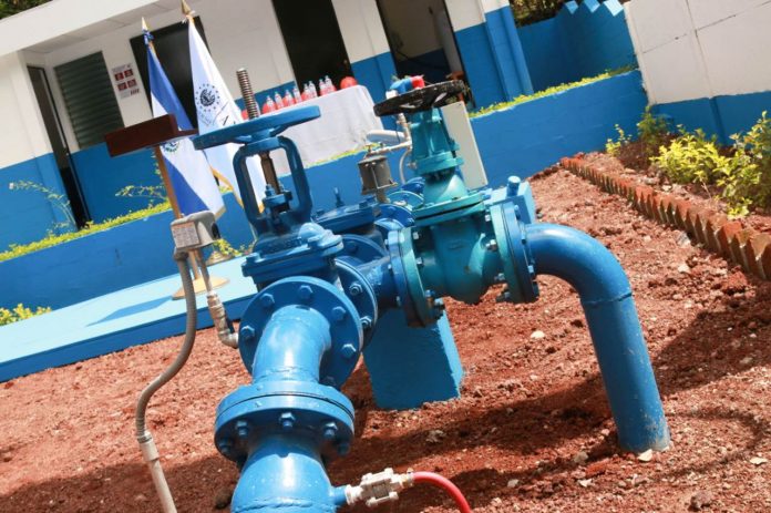 Foto: cortesía Foto: cortesía