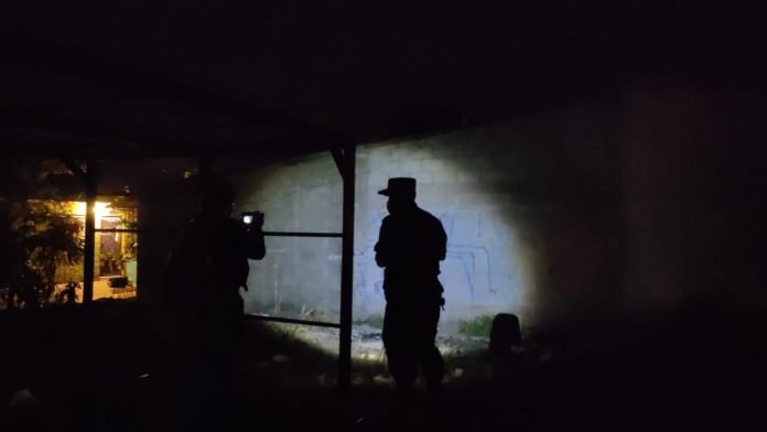 Imagen de referencia.