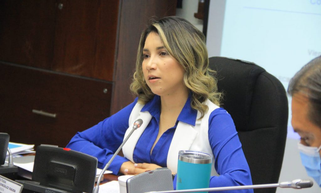Diputados pedirán a la Superintendencia del Sistema Financiero auditar ...