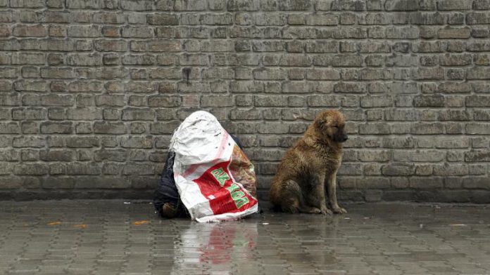 Un perro junto a un hombre cubierto por un plástico en Kabul, en el año 2019 - Derechos de autor Rahmat Gul/Copyright 2019 The Associated Press. All rights reserved.