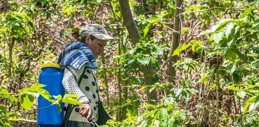 Imagen de referencia.