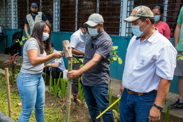 Imagen de referencia.