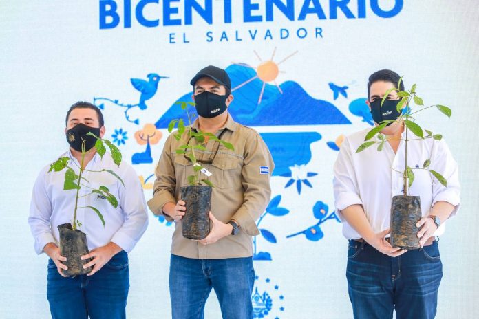 Foto: cortesía Foto: cortesía