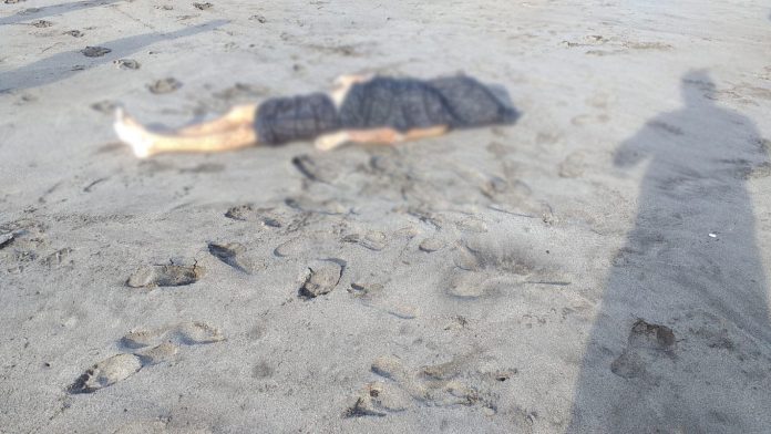 Foto: cortesía Foto: cortesía