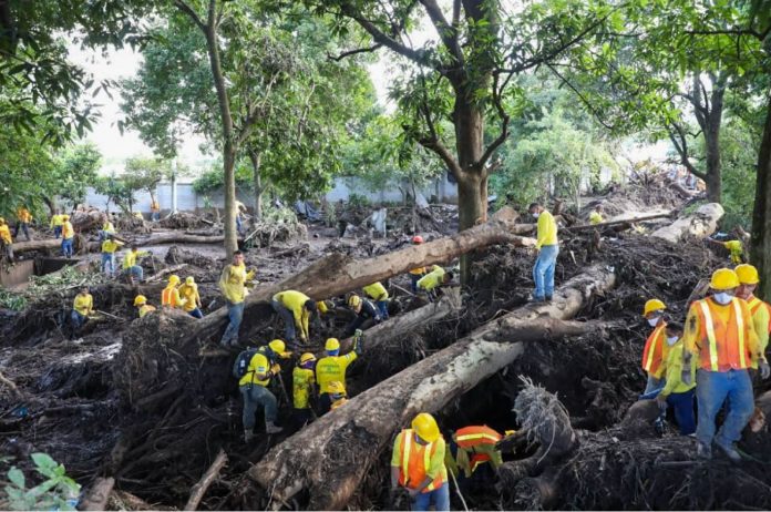 Imagen de referencia.