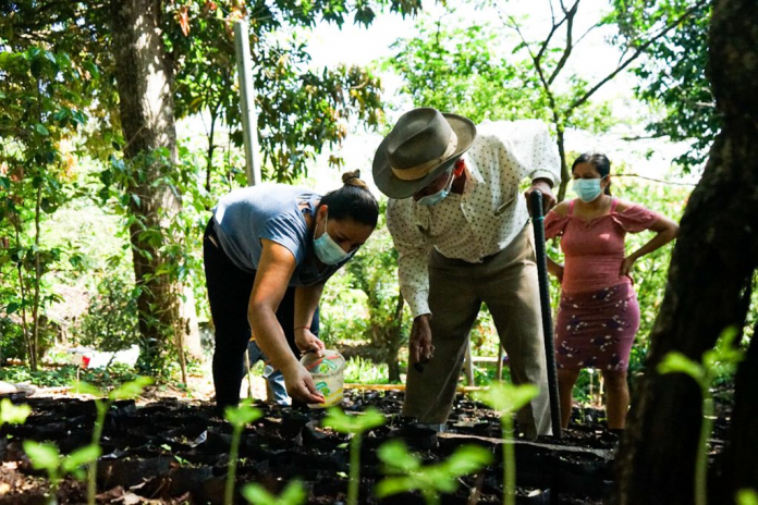 Imagen de referencia.