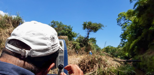 Imagen de referencia.