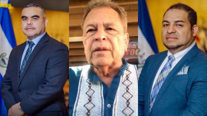 diputados nuevas ideas y roy