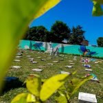 Salvadoreños acuden a los cementerios para enflorar las tumbas de sus seres queridos, en el marco del Día de los Difuntos. Foto: YSKL.