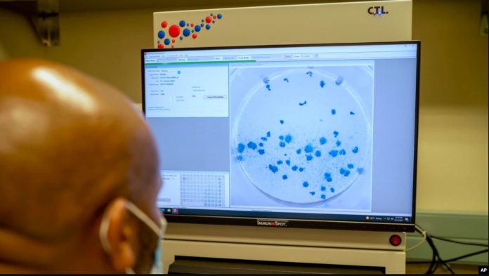 Un investigador del Africa Health Research Institute, en Durban, Sudáfrica, analiza datos de la variante ómicron en una pantalla, el 15 de diciembre de 2021.