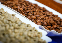 Producción salvadoreña de café rondaría el millón de quintales al cierre de 2025 Café. Imagen de referencia.