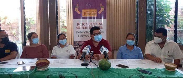 Imagen de referencia. Imagen de referencia.