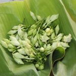 Pequeños productores comercializan loroco de huertos comunitarios en el Mercado Sagrado Corazón. Foto: YSKL.
