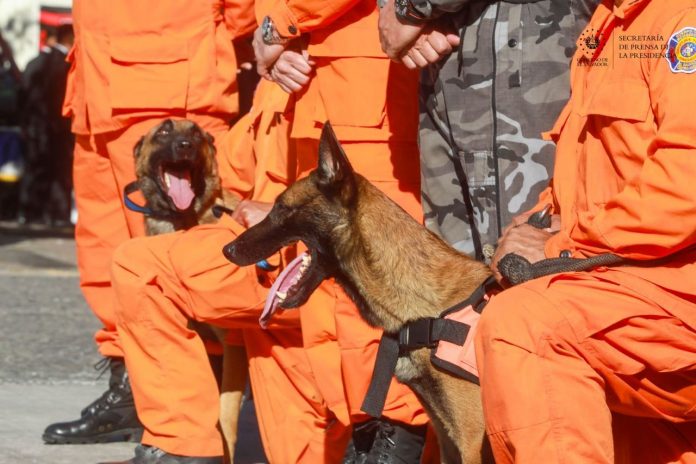 Foto: Secretaría de Prensa.
