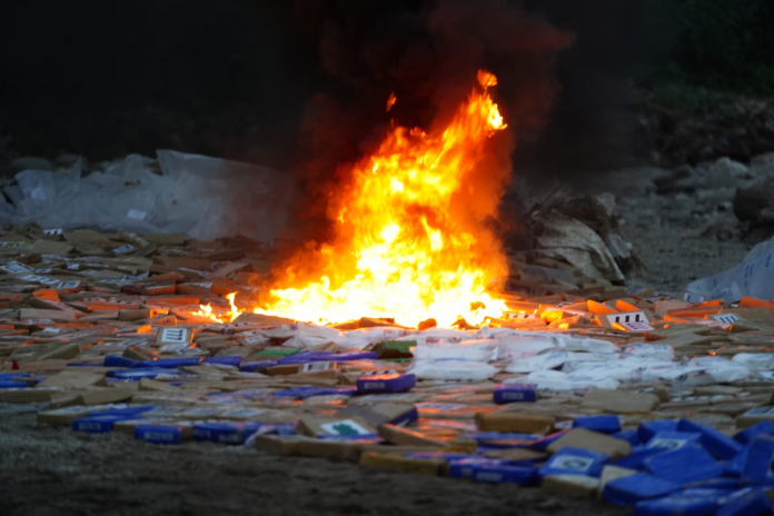 Imagen de referencia.