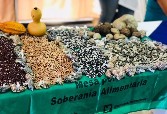 Foto: Cortesía Foto: Cortesía