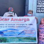 Comunidades piden al Ministerio de Salud prohibir la quema de caña de azúcar, por sus graves efectos a la salud de los habitantes. Foto: YSKL.