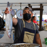 En Plaza Marinera, en el Puerto de La Libertad se comercializa gran variedad de pescado. Foto: Cortesía.