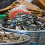 En Plaza Marinera, en el Puerto de La Libertad se comercializa gran variedad de pescado. Foto: Cortesía.