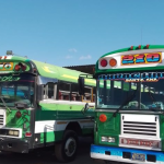 Ruta 210. Foto: Cortesía.