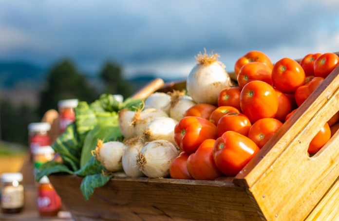 En el municipio de Chalatenango se impulsa el cultivo de tomates, cebollas y repollos, así como otras verduras y hortalizas. Foto: Cortesía.