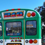 Ruta 210. Foto: Cortesía.