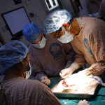 Cirugías. Foto: Cortesía.