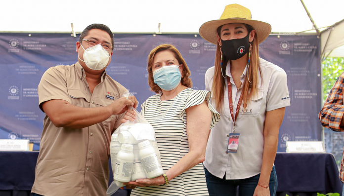 Imagen de referencia.