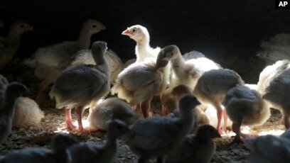 6CE05A82-231E-4B55-8C3F-32C10FF5D73C