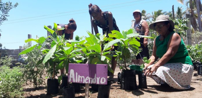 Imagen de referencia. Imagen de referencia.