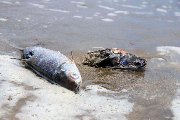 EA2CAD3B-FDE7-46BF-903F-565C7DC605EE