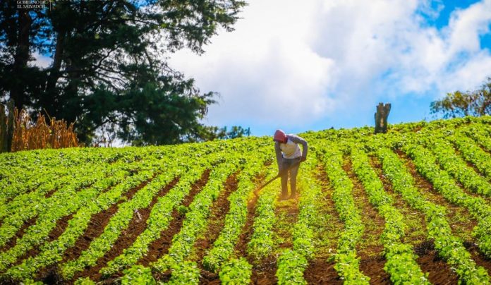 Foto: MAG. Foto: MAG.