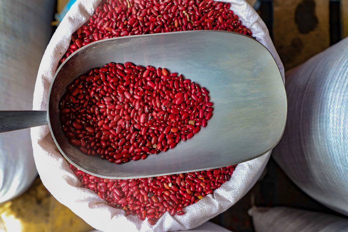 A junio del 2022, la libra de frijol rojo ha experimentado alzas, según lo reportan productores de este grano. Foto: Ministerio de Agricultura.