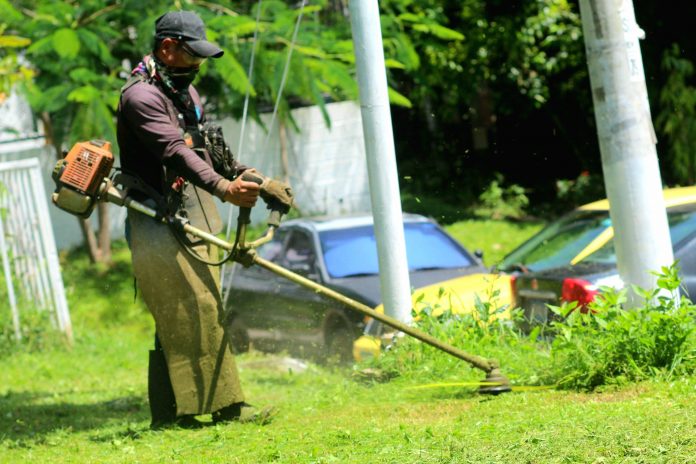 Imagen de referencia.