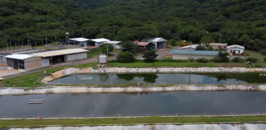 Vista de las instalaciones del proyecto minero Cerro Blanco en Asunción Mita, Jutiapa. El 18 de septiembre habitantes de ese municipio rechazaron en consulta comunitaria la operación de proyectos mineros en su territorio. (Foto Prensa Libre: AFP).