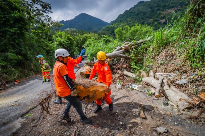 Imagen de referencia.