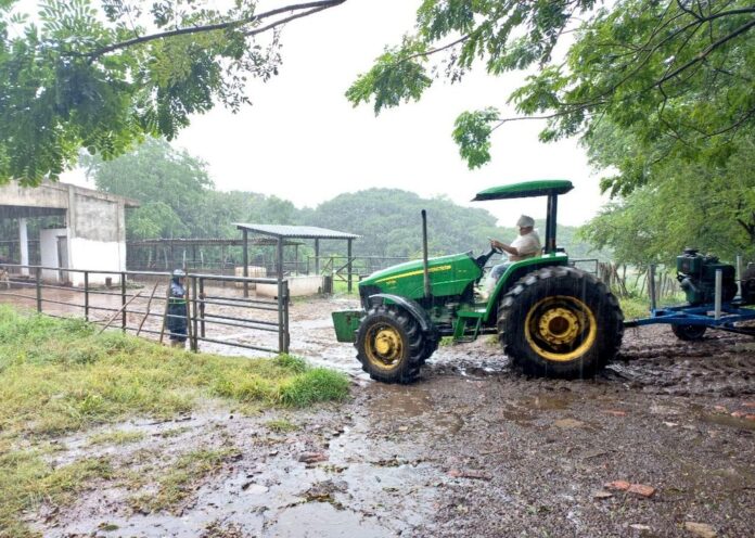 Agricultores han reportado daños a sus cosechas a causa de la Tormenta Tropical Julia. Foto: Cortesía.