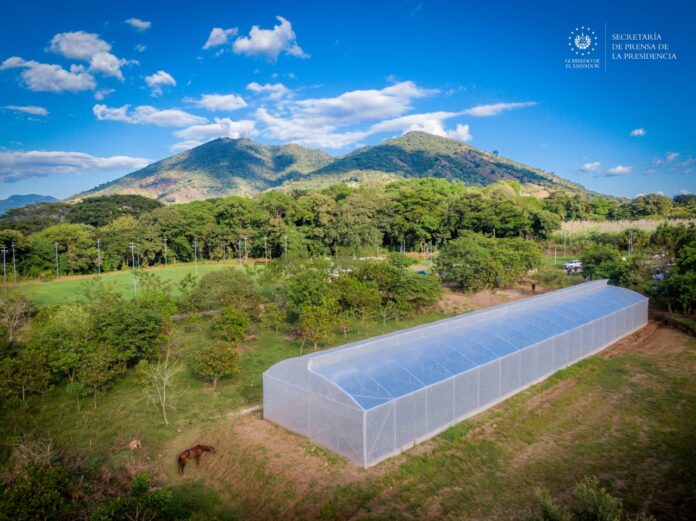 Imagen de referencia. Imagen de referencia.