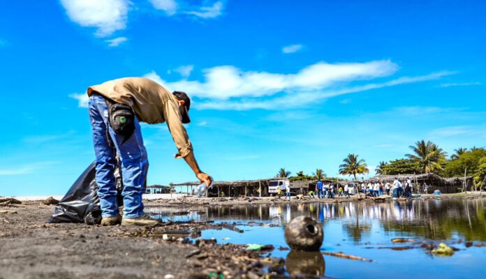 Imagen de referencia. Imagen de referencia.