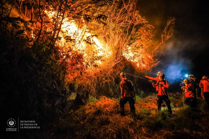 Incendio forestal. Foto: Cortesía.
