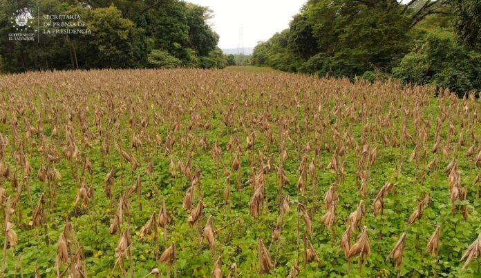 7C7B3C8B-BECD-4513-B3A3-85C6F5C144C8