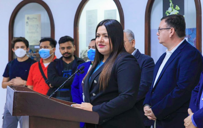 diputados nuevas ideas