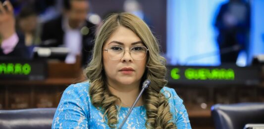 Diputada Rebeca Santos. Foto: Cortesía.