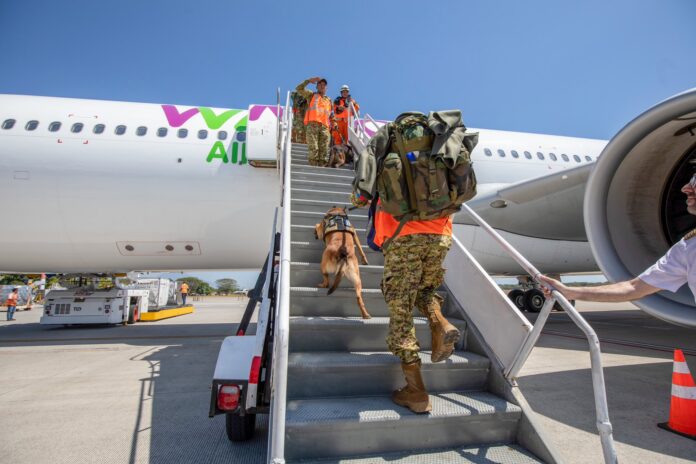 Imagen de referencia.